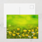 Achtergrond lentevloerbloemen briefkaart (Voorkant / Achterkant)