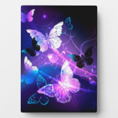 Achtergrond met nachtvliegen fotoplaat (voorkant)