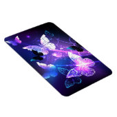 Achtergrond met nachtvliegen magneet (Rechterzijde)