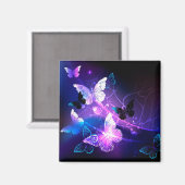 Achtergrond met nachtvliegen magneet (Voorkant / Achterkant)