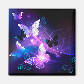 Achtergrond met nachtvliegen magneet (Voorkant)