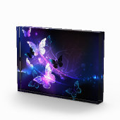 Achtergrond met nachtvlinders fotoblokken (Rechts)