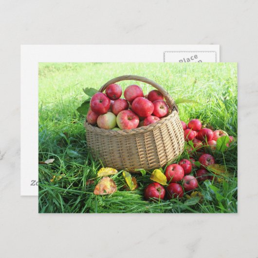 Achtergrond najaar briefkaart (Voorkant / Achterkant)