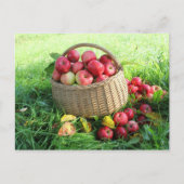 Achtergrond najaar briefkaart (Voorkant)