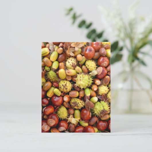 Achtergrond najaar briefkaart (Staand voorkant)