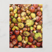 Achtergrond najaar briefkaart (Voorkant)