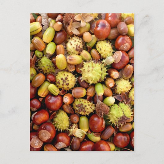 Achtergrond najaar briefkaart (Voorkant)