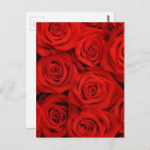 Achtergrond natuurlijke rode rozen briefkaart (Voorkant / Achterkant)