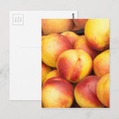 Achtergrond nectarines briefkaart (Voorkant / Achterkant)