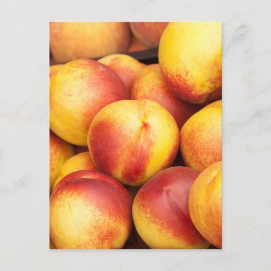 Achtergrond nectarines briefkaart (Voorkant)