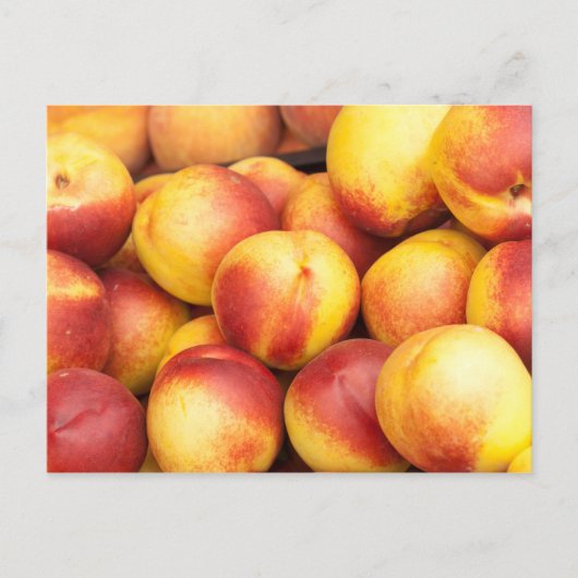 Achtergrond nectarines briefkaart (Voorkant)