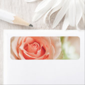 Achtergrond peach roze roze roze Gepersonaliseerd Etiket (Insitu)