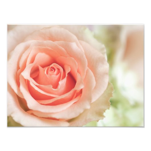 Achtergrond peach roze roze roze Gepersonaliseerd Foto Afdruk (Voorkant)