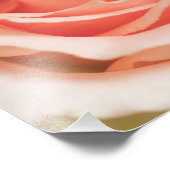 Achtergrond peach roze roze roze Gepersonaliseerd Foto Afdruk (Hoek)