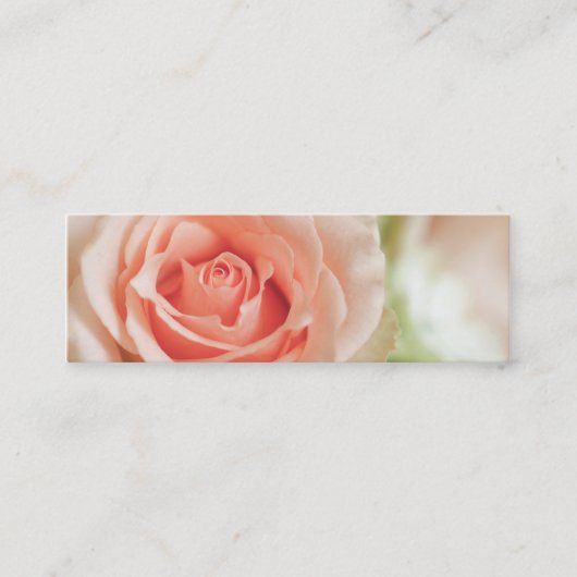 Achtergrond peach roze roze roze Gepersonaliseerd Mini Visitekaartje (Voorkant)