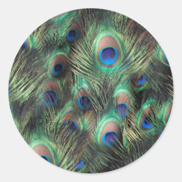 Achtergrond Peacock-doether Ronde Sticker