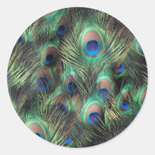 Achtergrond Peacock-doether Ronde Sticker