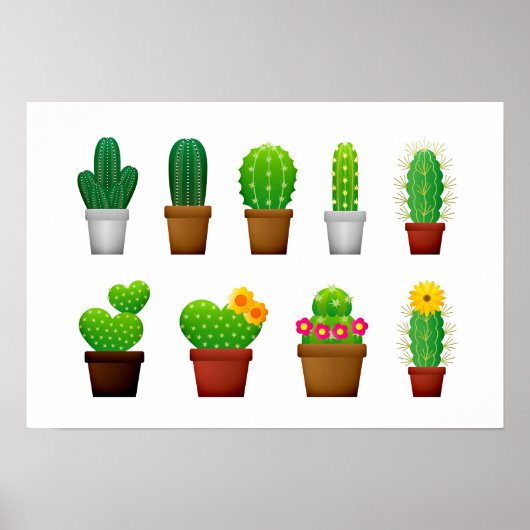 Achtergrond planten Cactus Poster (Voorkant)