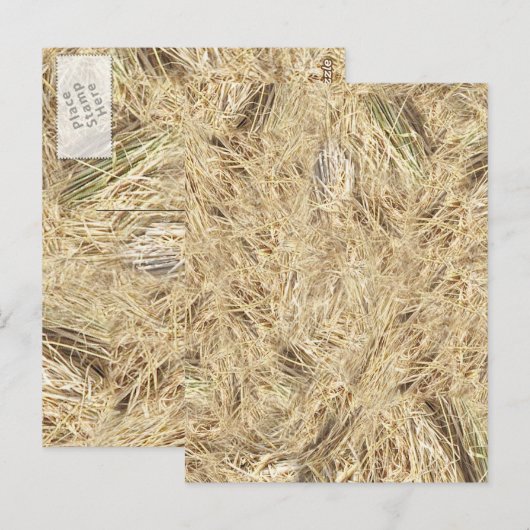 Achtergrond riem briefkaart (Voorkant / Achterkant)