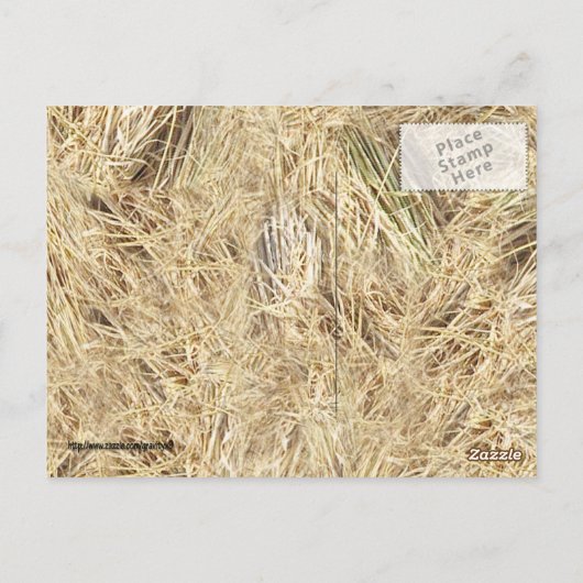 Achtergrond riem briefkaart (Achterkant)