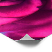 Achtergrond roze bloemen rozen poster (Hoek)