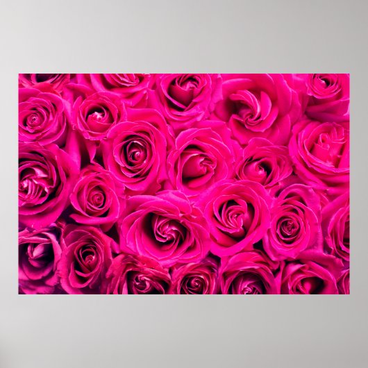 Achtergrond roze bloemen rozen poster (Voorkant)