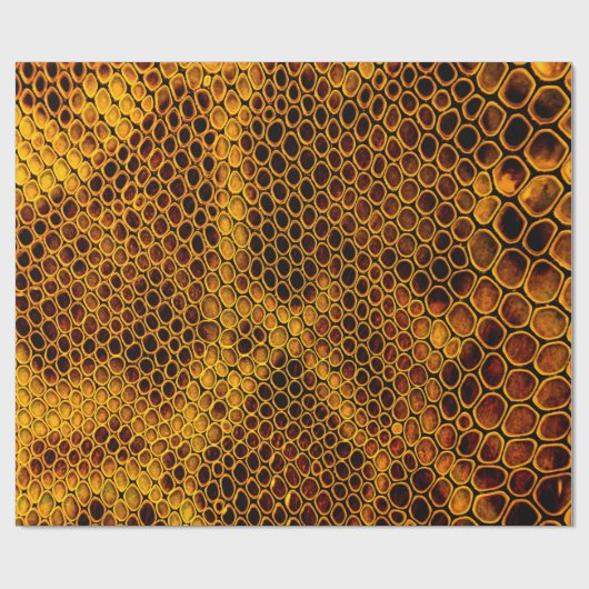 Achtergrond slangenhuid cadeaupapier (Vlak)