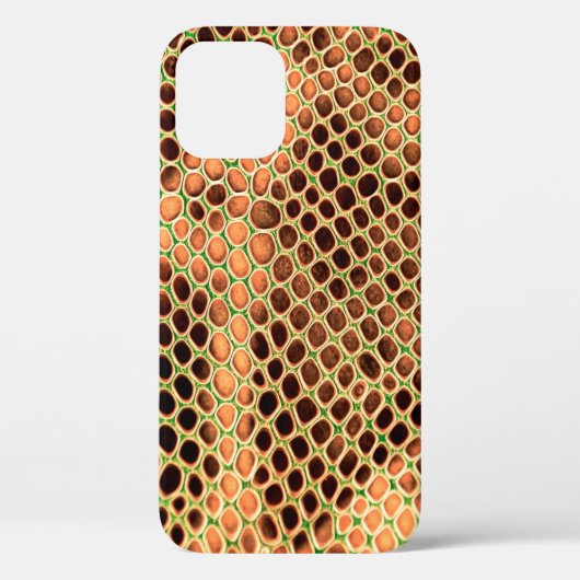Achtergrond slangenhuid Case-Mate iPhone case (Achterkant)