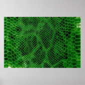 Achtergrond slangenhuid poster (Voorkant)