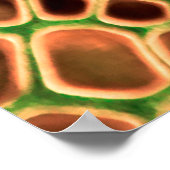 Achtergrond slangenhuid poster (Hoek)