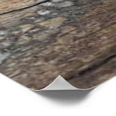 achtergrond textuur oude mooie boomstam, bc poster (Hoek)