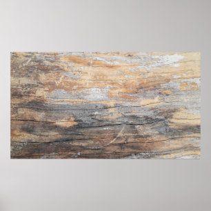 achtergrond textuur oude mooie boomstam, bc poster