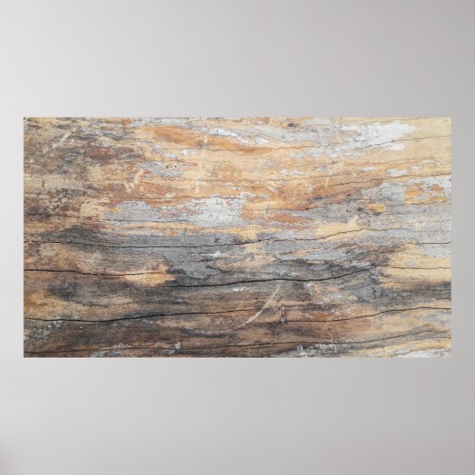 achtergrond textuur oude mooie boomstam, bc poster (Voorkant)