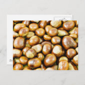 Achtergrond van Conkers Briefkaart (Voorkant / Achterkant)