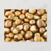 Achtergrond van Conkers Briefkaart (Voorkant)