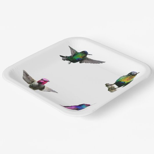 Achtergrond van de flessenhoed papieren bordje (Gebogen)