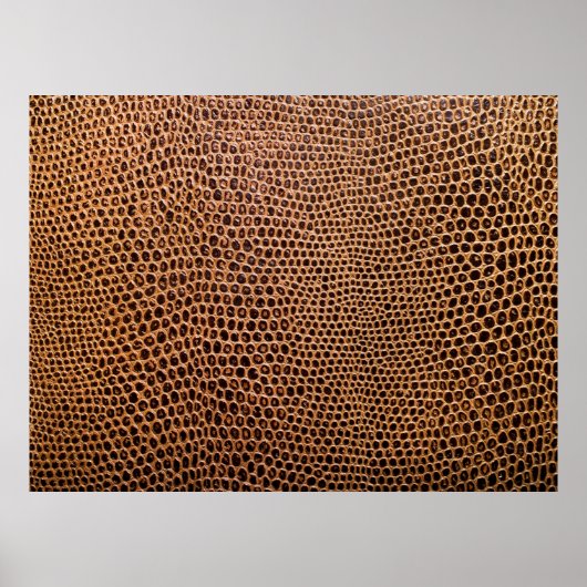 achtergrond van donker leder poster (Voorkant)