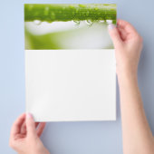 Achtergrond van groene bladeren flyer (Hand)