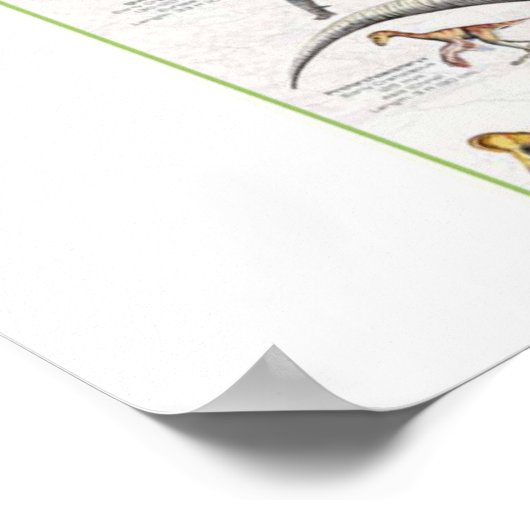 Achtergrond van het diagram Dinosaur Poster (Hoek)