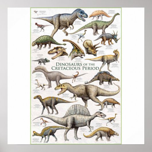 Achtergrond van het diagram Dinosaur Poster (Voorkant)