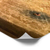 achtergrond van houten textuur, abstract, gerijpt, poster (Hoek)