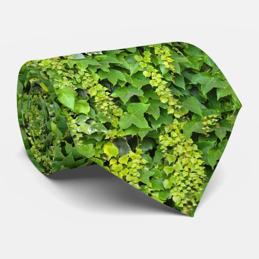 Achtergrond van Japanse ontwerper Stropdas (Opgerold)