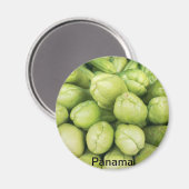 Achtergrond van organische choko Sechium schema Magneet (Voorkant / Achterkant)