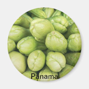 Achtergrond van organische choko Sechium schema Magneet