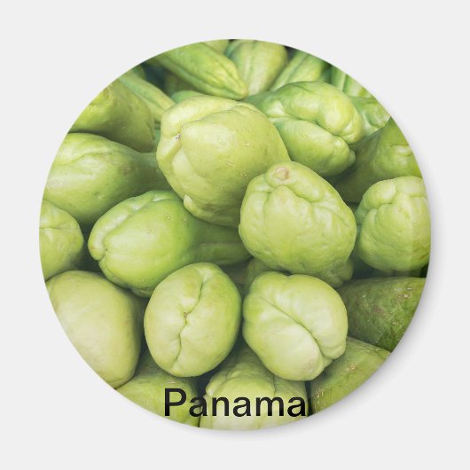 Achtergrond van organische choko Sechium schema Magneet (Voorkant)