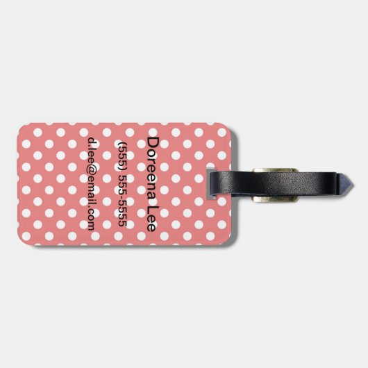 Achtergrond van poolpunt bagagelabel (Achterkant horizontaal)