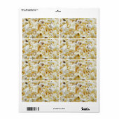 Achtergrond van popcorn etiket (Full Sheet)