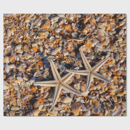 Achtergrond van Starfish Seashells ontkoppelen Cadeaupapier (Vlak)