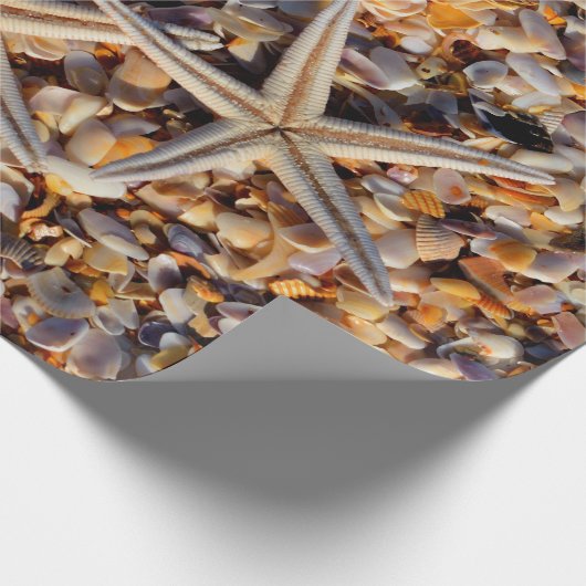 Achtergrond van Starfish Seashells ontkoppelen Cadeaupapier (Hoek)