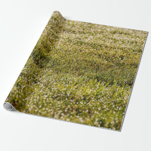 Achtergrond van verse groene lentegroengras met bo cadeaupapier
